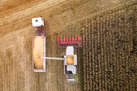 收获。联合收割机将玉米谷物倒入卡车中。鸟瞰。农业秋季工程