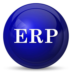 Erp 图标。白色背景上的互联网按钮