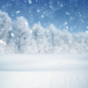 冬天的背景下，雪落冬季景观与副本空间