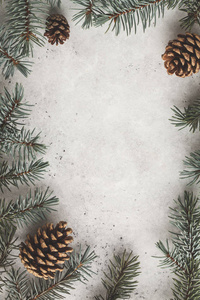 圣诞背景概念。圣诞树枝, 凹凸, 白色背景, 复制空间, 顶部视图, 新年明信片