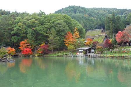 秋天的彩色的树木飞驒民俗村高山日本