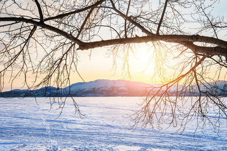 美丽的冬天结冰的湖与树在日落景观