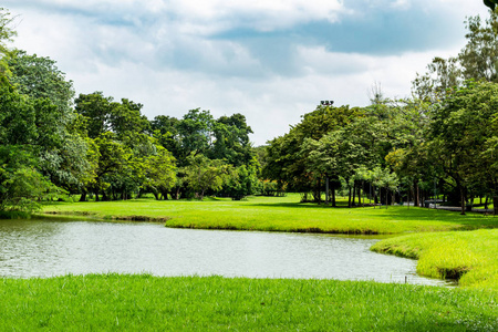 公园里的池塘和树