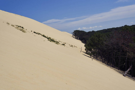 欧洲最大的沙丘。阿卡松, 法国