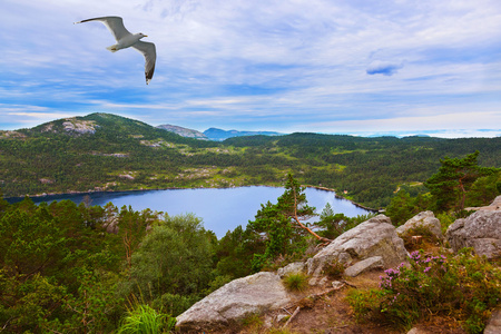 在峡湾 Lysefjor Cliff Preikestolen 途中山