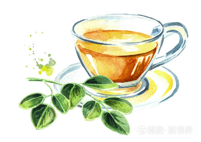 草药辣木茶.超级食物.水彩手绘插图查出的白色背景
