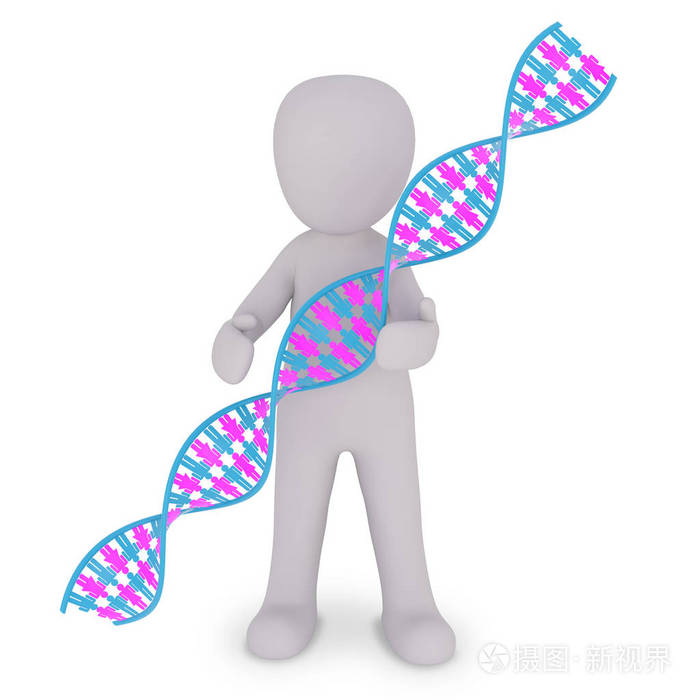 用dna解释人口