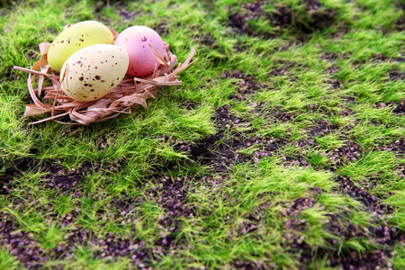 复活节彩蛋上绿草背景巢