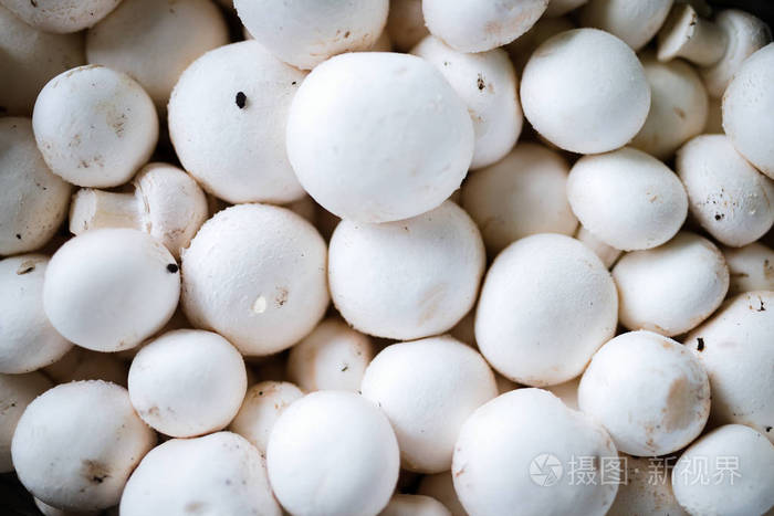 新鲜的白蘑菇组的特写图片
