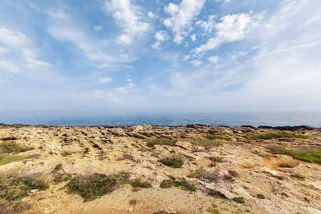 在早上的岩石海岸的视图