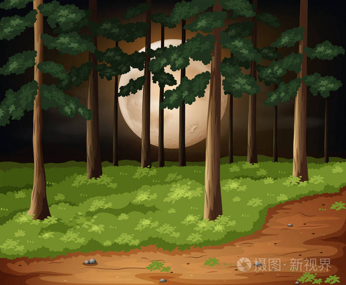 黑夜中的森林插图