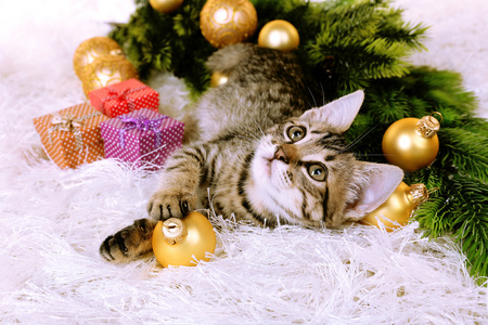 圣诞装饰品在地毯上的小猫