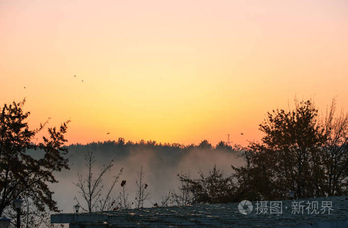 美丽的黎明日出秋天的日出清晨美丽的秋天