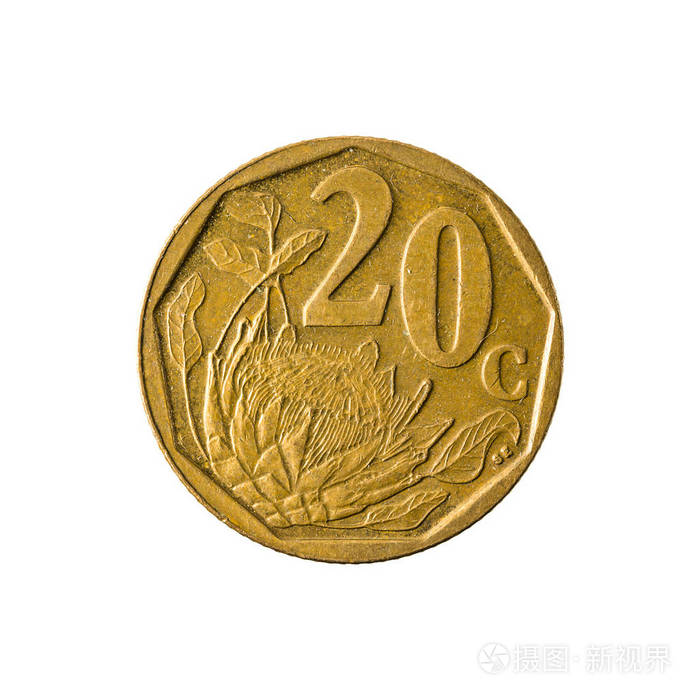 20南非美分硬币 (2008) 正面被隔绝在白色背景上