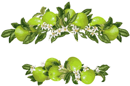 框架与柚子果子和花在向量例证图图形设计