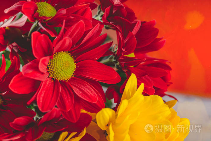 红色和黄色花朵的静物