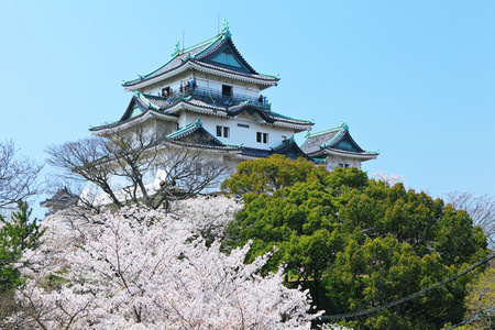 日本和歌山县的城堡