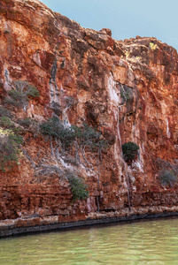 澳大利亚峡谷的水机与红色岩石：植被惊艳西海岸