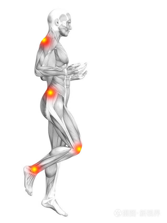 炎症或关节的关节疼痛,为卫生保健治疗或运动概念与概念人体肌肉解剖
