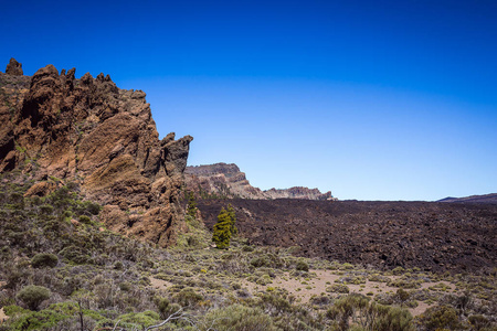 Teide 国家公园的美丽的风景, 特内里费岛, 加那利群岛, 西班牙