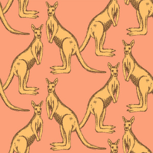 复古风格素描澳大利亚袋鼠