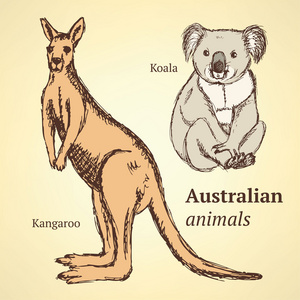 复古风格的素描澳大利亚动物