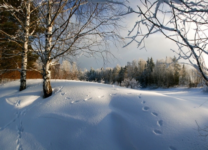 在雪中的脚印