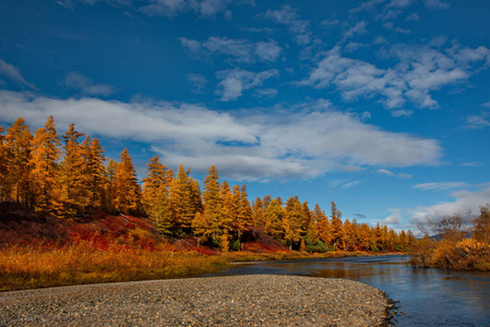 俄罗斯。远东。秋天的颜色是马加丹的冷水河