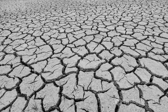 由于夏季干旱地球裂开了全球变暖和温室效应气候变化是一个世界性现象