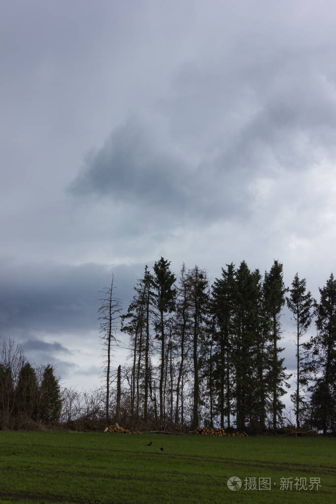 春天复活节德国南部山区景观的雷雨