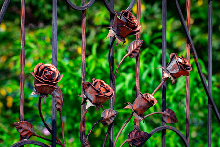 锻造铁门的细节结构和装饰。装饰 ornamen 与玫瑰, 由金属制成