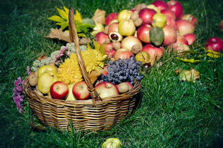 感恩节, 秋天收获柳条篮子里的季节性水果
