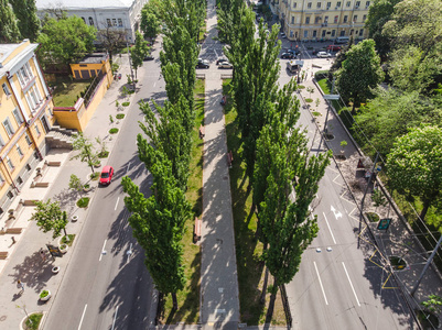 在城市的绿色胡同和道路无人机