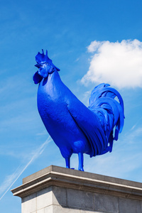 在英国伦敦的特拉法加广场的蓝色公鸡雕塑照片