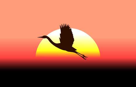 飞鹤最新版飞鹤上日落背景照片