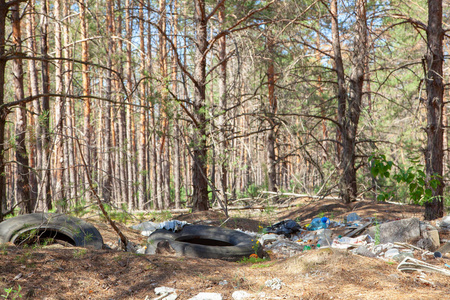 森林里的垃圾。塑料和斜坡对森林的污染