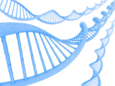 长的 Dna 结构