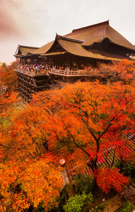 清水寺在京都，日本