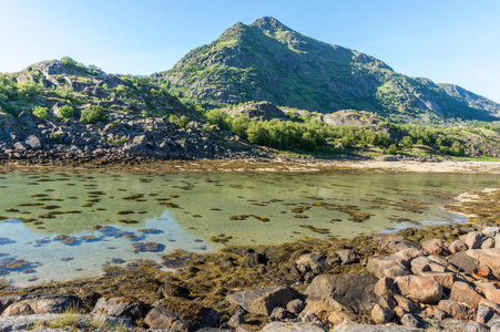 挪威洛福敦群岛阿尔斯泰宁岛海湾的绿松石水夏天的石头和绿草