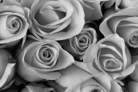 玫瑰花朵花束，黑色和白色背景