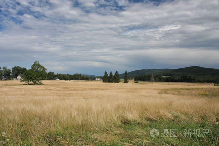 在阴天的夏日风景