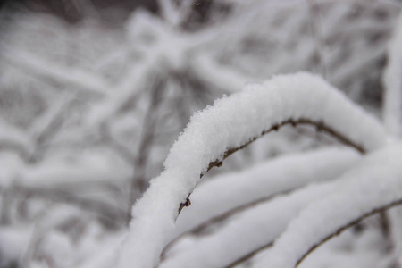 美丽的白雪覆盖的城市公园与树木和路径