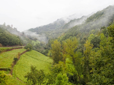 在瓦尔卡尔斯山谷的卡米诺的雾的早晨拉斯赫雷里亚斯, 卡斯蒂利亚和莱昂, 西班牙