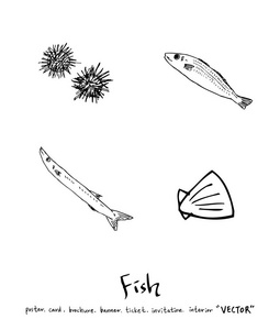 手工绘制食品配料海洋食品插图矢量
