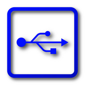 Usb 图标。白色背景上的 Usb 网站按钮