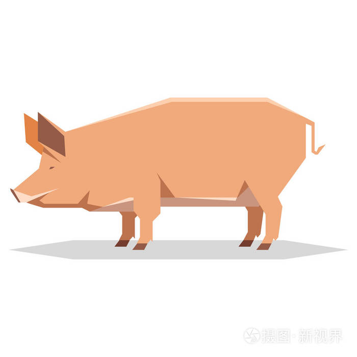 扁几何塔姆沃思猪