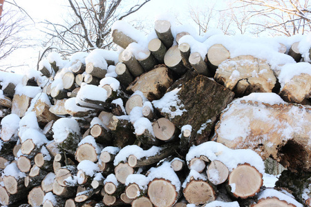 堆积的原木和树枝的墙。雪中的木柴