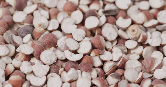 赤小豆芡实图片