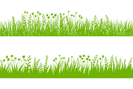 矢量绿草 自然, 有机, 生物, 生态标签和形状在白色背景。无缝的刷子, 图案