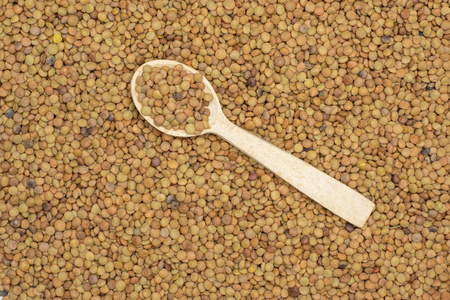 扁豆的种子图片